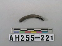 藏品(黑色泥質陶環殘件)的圖片